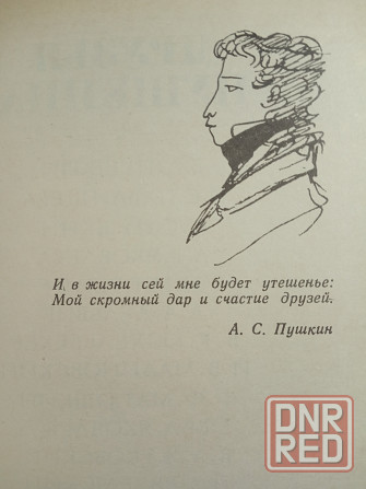 Друзья Пушкина Донецк - изображение 3
