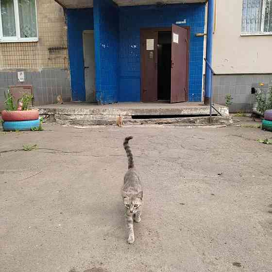 Продам 2-х комн. квартиру 3-й этаж.Текстильщик.Петровского 126А. Донецк