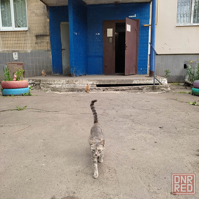 Продам 2-х комн. квартиру 3-й этаж.Текстильщик.Петровского 126А. Донецк - изображение 1