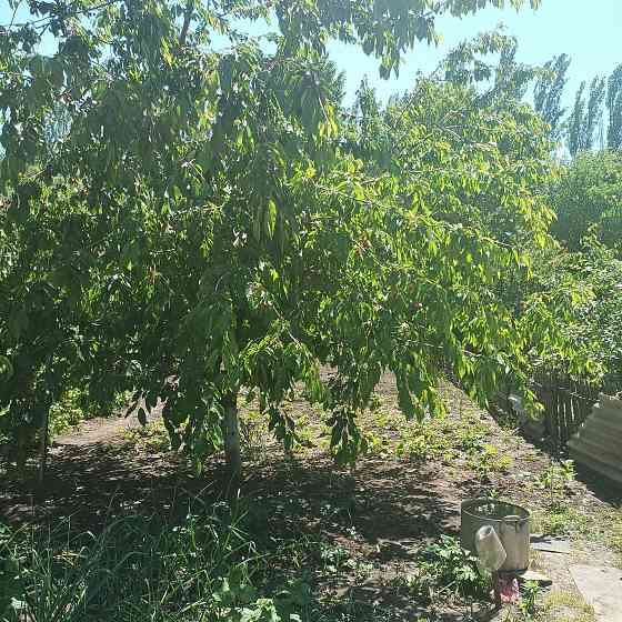 Продам дом улица Донэнерго развитая инфраструктура Донецк