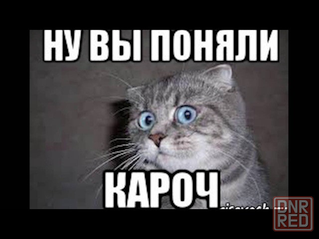 Продаем тест Донецк - изображение 1