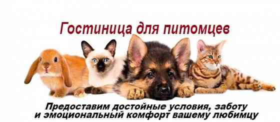 Гостиница для животных Донецк