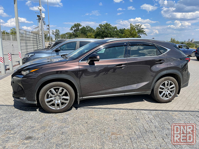 Lexus NX200 Официальный Краснодарский Весь в родной краске Донецк - изображение 2