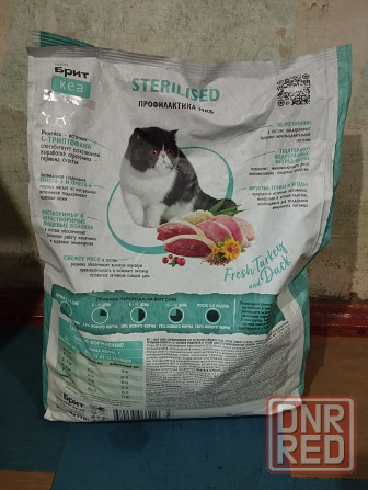 Стерилизованных котов не дорого Донецк - изображение 2