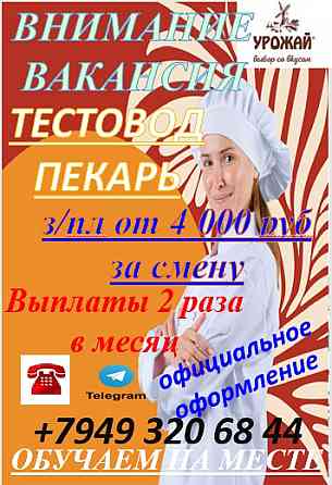 тестовод, пекарь Горловка