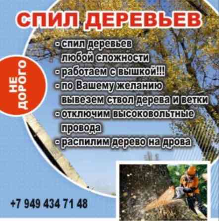 Спил деревьев Шахтерск
