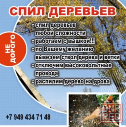 Спил деревьев Шахтерск - изображение 1