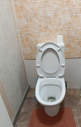 Комфортная однушка на Бакинских Донецк