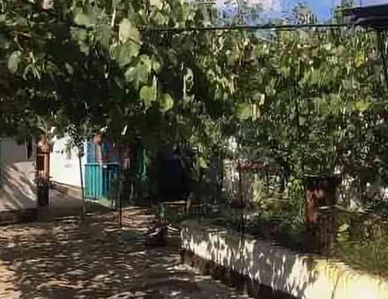 Продам дом Моспино Пролетарский р-н г. Донецк Донецк
