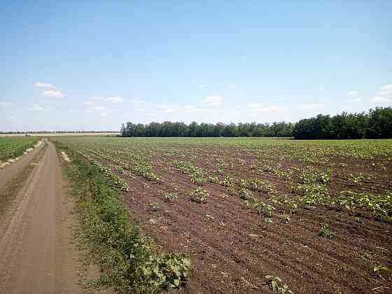 Предлагается к продаже сельхоз участок (Фермерская Усадьба). Волноваха