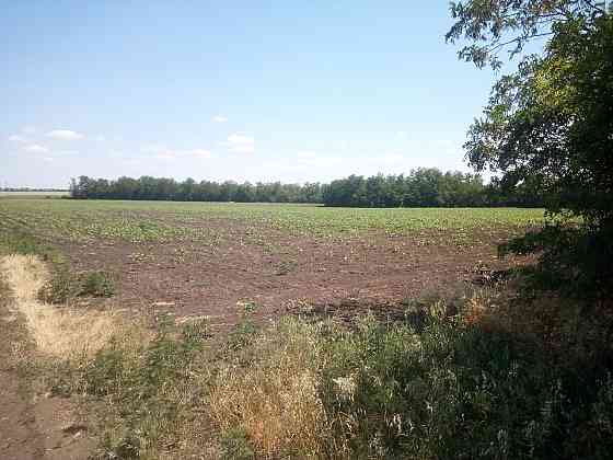 Предлагается к продаже сельхоз участок (Фермерская Усадьба). Волноваха