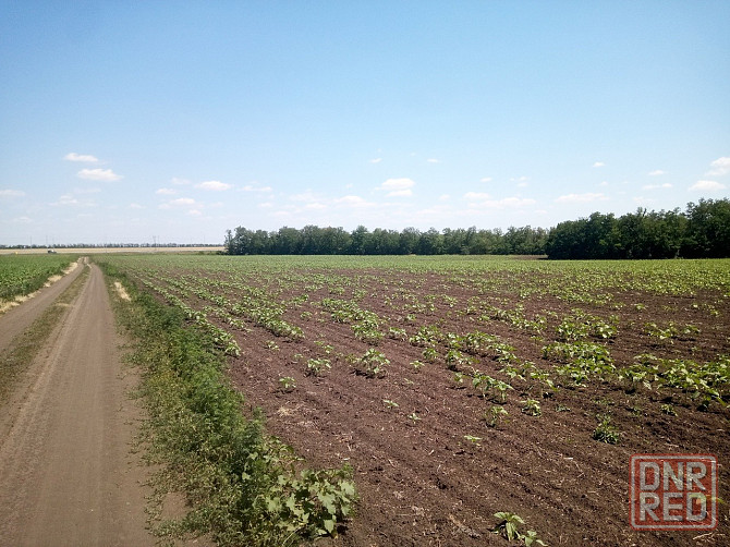 Предлагается к продаже сельхоз участок (Фермерская Усадьба). Волноваха - изображение 3
