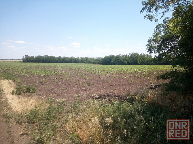 Предлагается к продаже сельхоз участок (Фермерская Усадьба). Волноваха - изображение 2