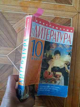 Продам книгу "хрестоматия по литературе" 10 класс Донецк