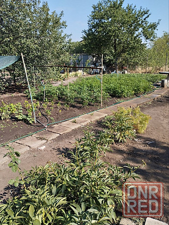 Продам дачу Пролетарский район, посёлок Темрюки Донецк - изображение 8