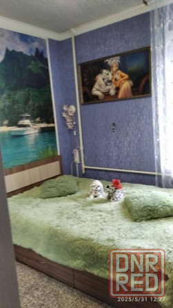 Продается 2 комн. квартира, Куйбышевский район Донецк - изображение 4
