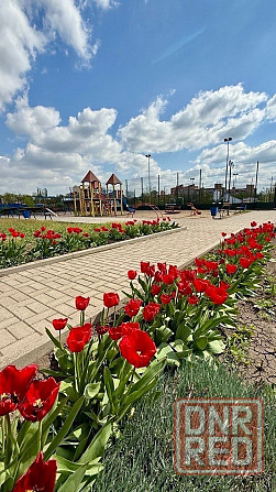 Продается квартира в новострое свободной планировки Донецк - изображение 8