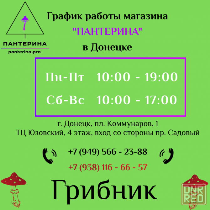 мухомор пантерный DarkMicro Донецк - изображение 2