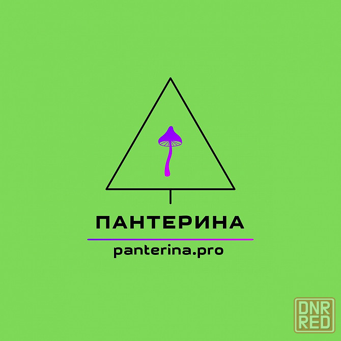 мухомор пантерный DarkMicro Донецк - изображение 3