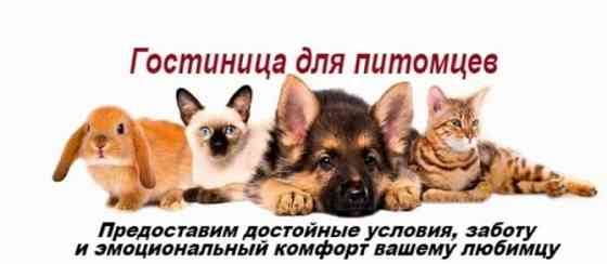 Передержка домашних животных Донецк