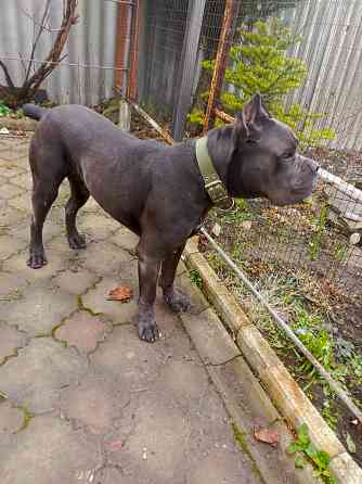 Передержка домашних животных Донецк