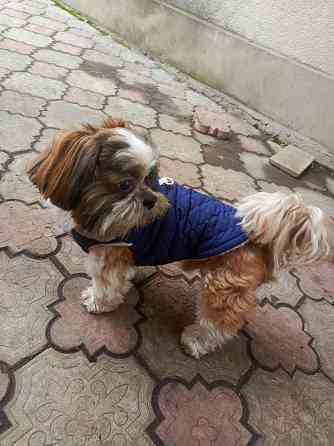 Передержка домашних животных Донецк