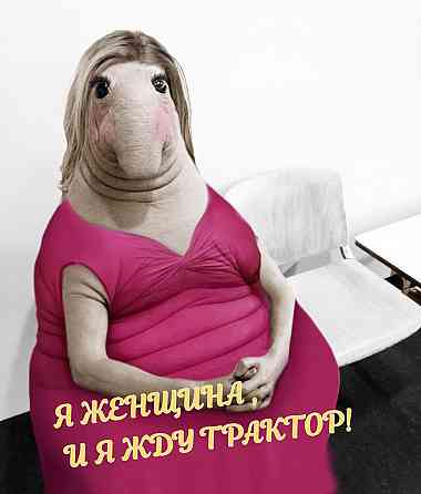 Трактор, мини трактор, комплекс услуг по земельным работам.Звони, сколько я могу ждать, я замёрз? Донецк
