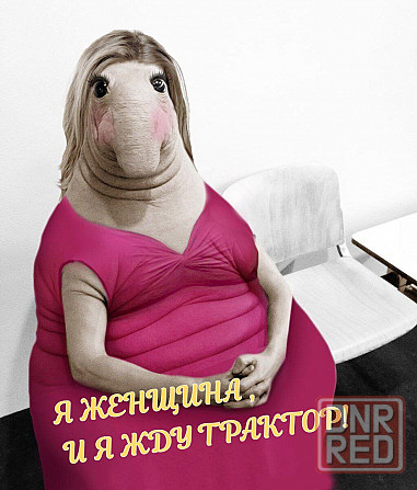 Трактор, мини трактор, комплекс услуг по земельным работам.Звони, сколько я могу ждать, я замёрз? Донецк - изображение 1