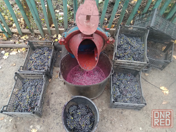 Измельчитель дробилка фрукты, овощи, зерно Донецк - изображение 1