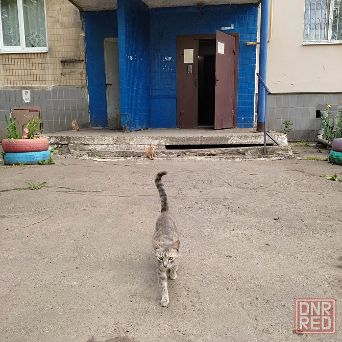 Продам 2-х ком квартиру. Ул Петровского 126А Донецк - изображение 1