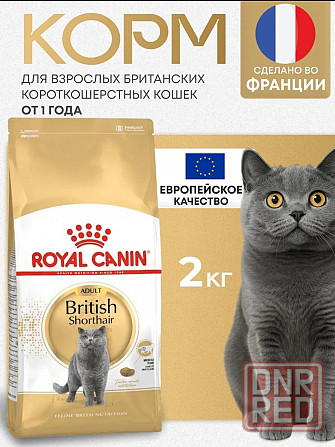 Корм Royal Canin British Донецк - изображение 1