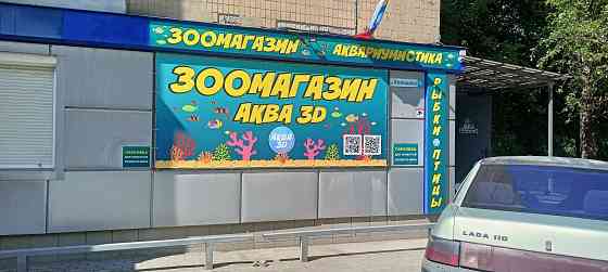 Сухопутные черепахи Донецк