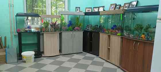 Продажа аквариумных рыб Донецк