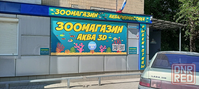 Продажа аквариумных рыб Донецк - изображение 1