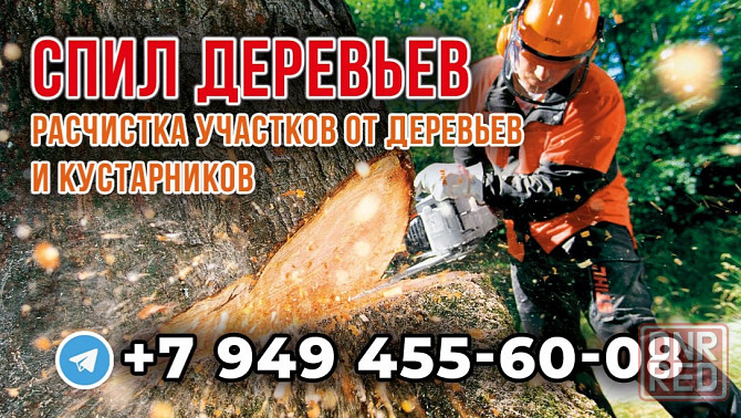 Спил деревьев и веток,расчистка участков Макеевка,Донецк Макеевка - изображение 1