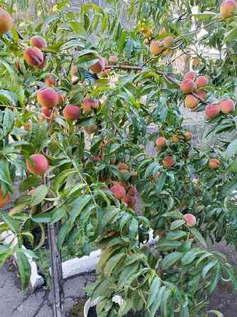 Продам дом развилка Донецк