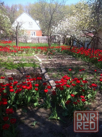 Продам дом развилка Донецк - изображение 2