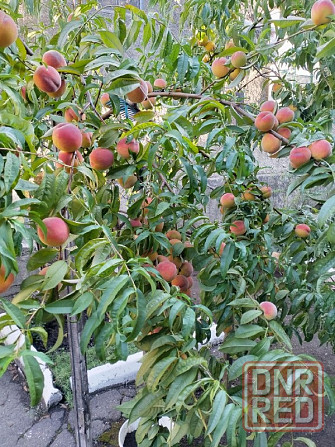 Продам дом развилка Донецк - изображение 1