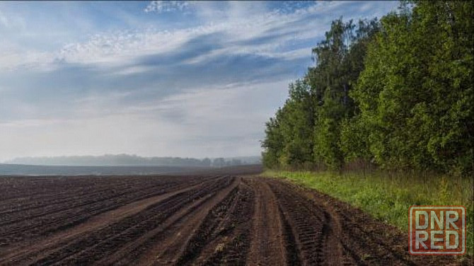 Готовый фермерский бизнес.Поля чернозёма.Техника.Фруктовые сады.Сарайи и помещения.Водаёмы рыбные. Старобешево - изображение 1