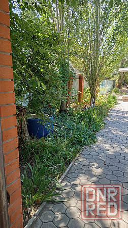 Продам дачу у моря-Мелекино,до берега200м Мариуполь - изображение 6