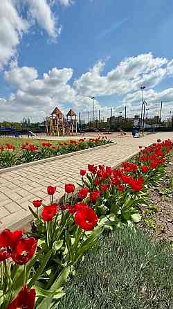 квартира в новострое Донецк
