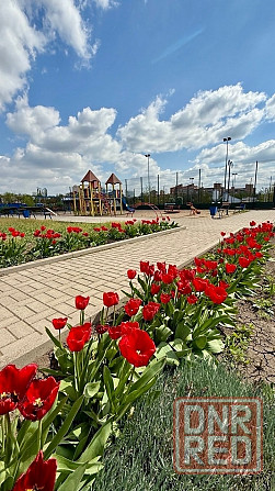 квартира в новострое Донецк - изображение 2