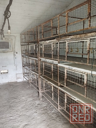 Продам готовый бизнес в Ленинском районе Донецк - изображение 7