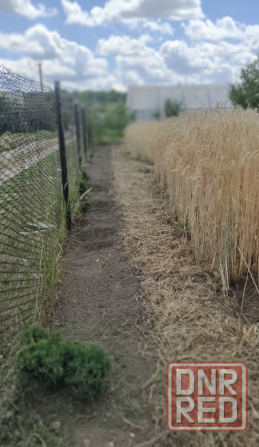 Продам дачу Луганск - изображение 2