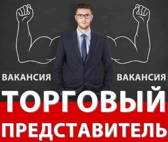 Требуется торговый представитель Снежное Снежное