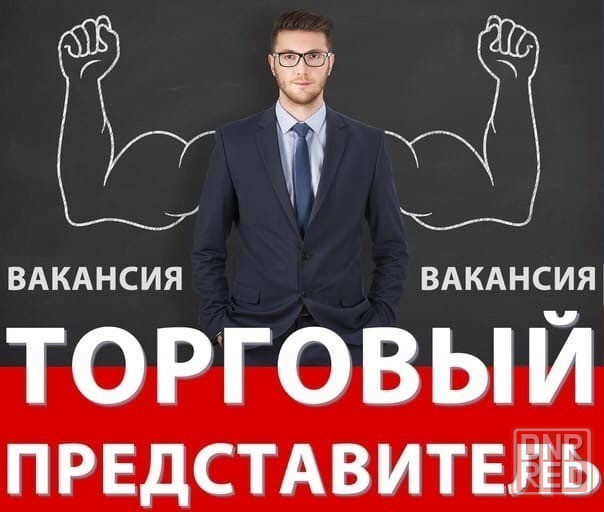 Требуется торговый представитель Снежное Снежное - изображение 1