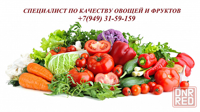 Менеджер по закупкам овощей и фруктов Макеевка - изображение 1