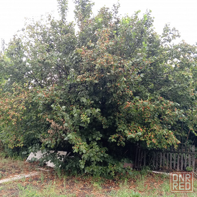 Срочно продаю частный, кирп дом с мебелью, площадь по документам 78 м2 в г. Мариуполе Ильичевский р- Мариуполь - изображение 9
