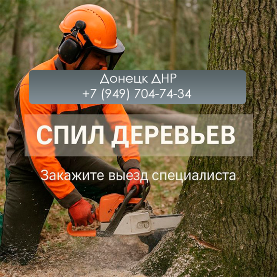 Удалим опасные деревья и приведём участок в порядок Донецк Донецк