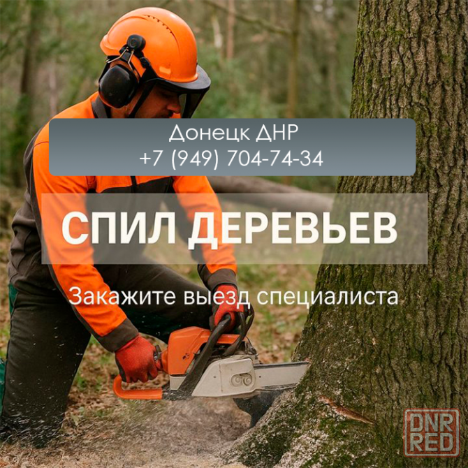 Удалим опасные деревья и приведём участок в порядок Донецк Донецк - изображение 1